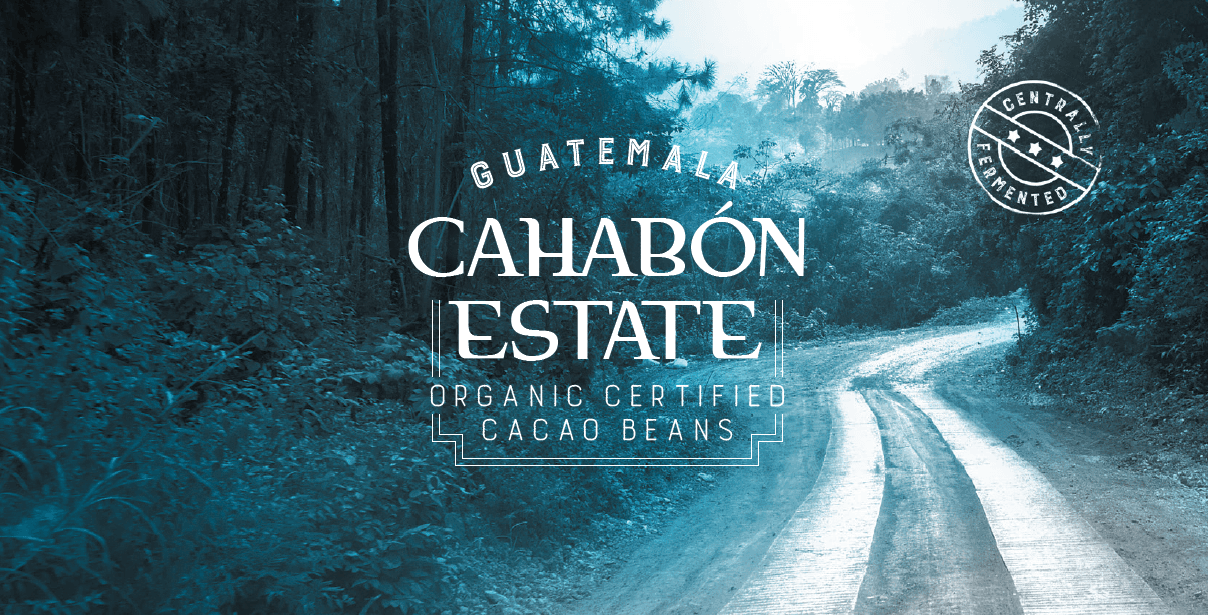 Guatemala Daarnhouwer Certificate