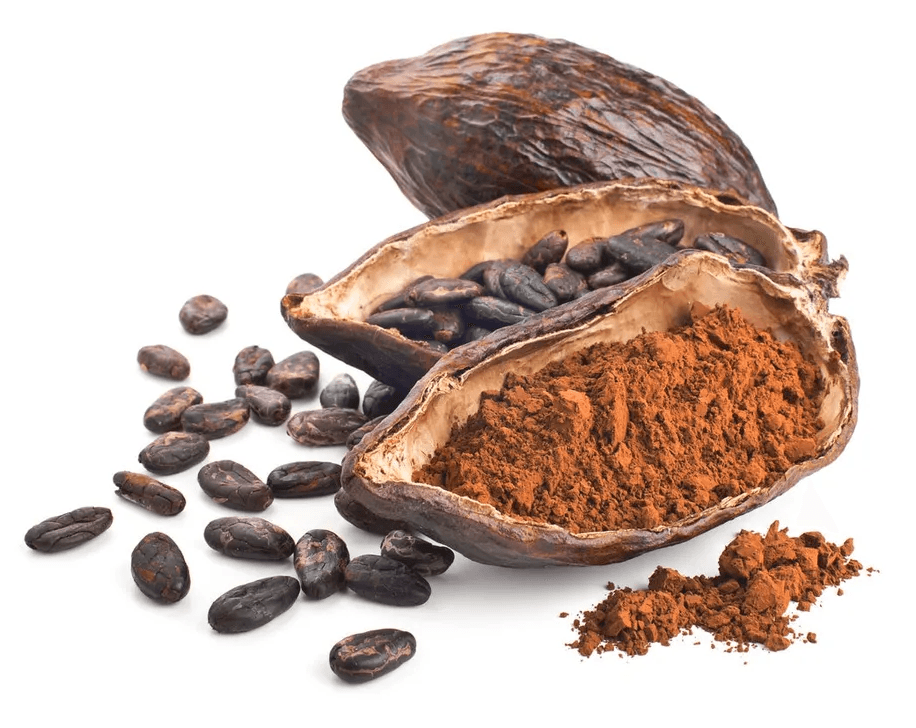 Cacao pod